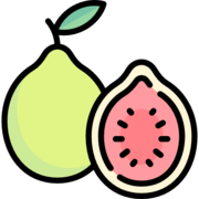 guava logo